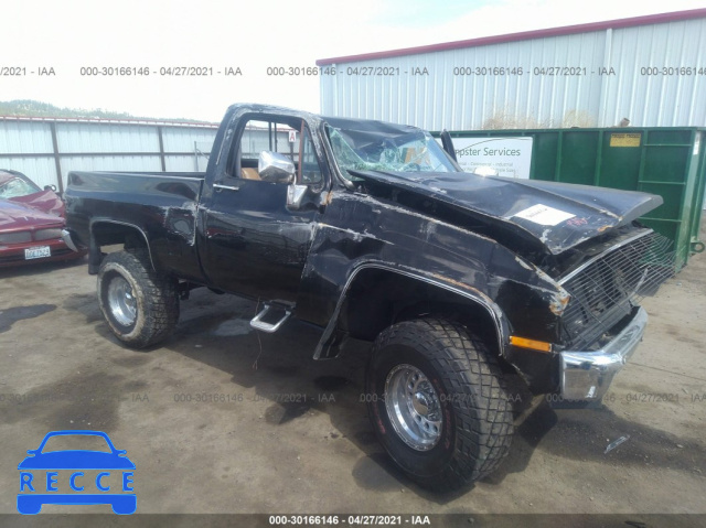 1981 GMC C1500  1GTDC14D4BZ501791 image 0