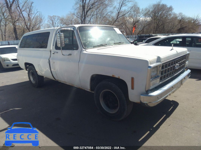 1980 CHEVROLET C20 CCW24AZ117478 image 0