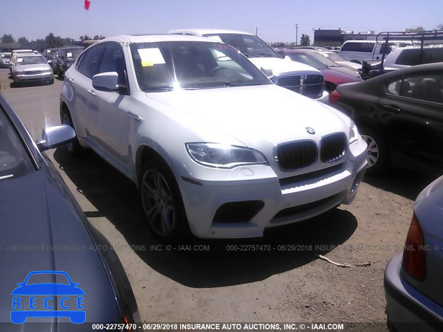 2014 BMW X6 M 5YMGZ0C52E0J99806 зображення 0