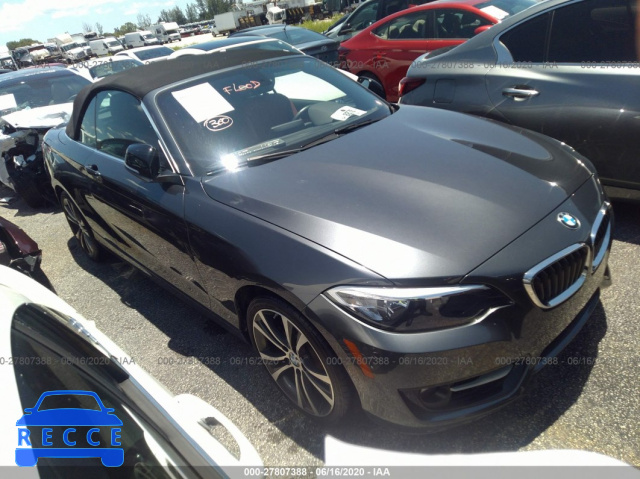 2015 BMW 2 SERIES I WBA1K5C53FV473760 image 0