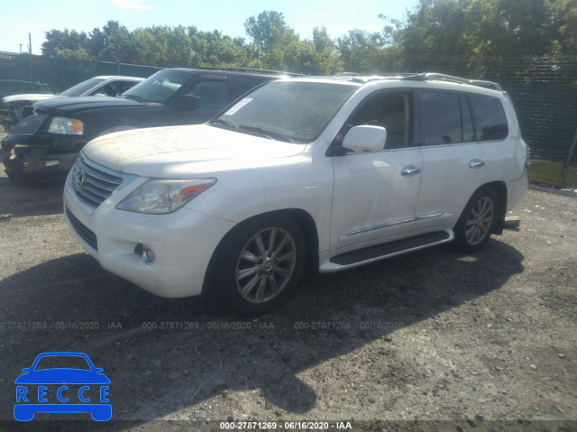 2011 LEXUS LX 570 JTJHY7AXXB4082196 зображення 1