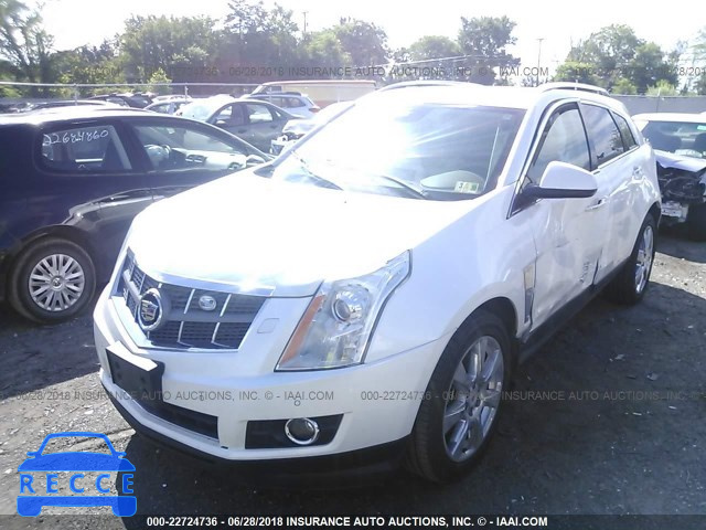 2011 CADILLAC SRX PERFORMANCE COLLECTION 3GYFNEEY3BS568479 image 1