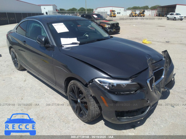 2015 BMW 2 SERIES 228I WBA1F5C59FV257304 image 0