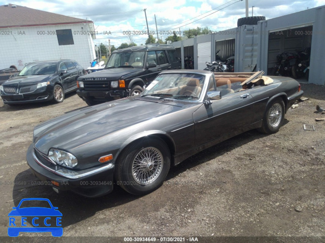 1984 JAGUAR XJS  SAJNV5845EC116443 Bild 1