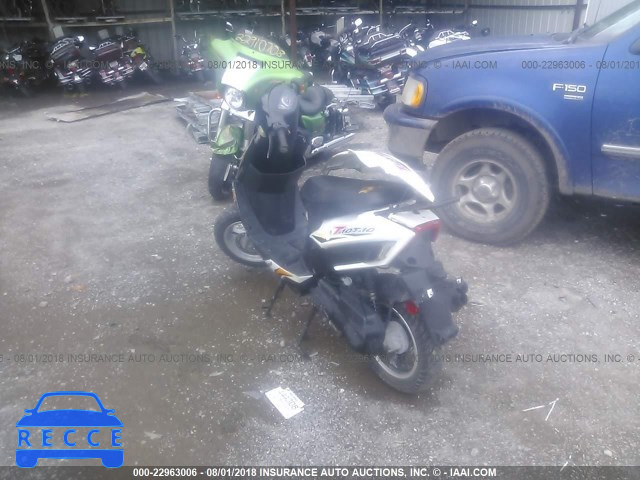 2014 TAO TAO MOPED L9NTEACX2E1301059 Bild 2