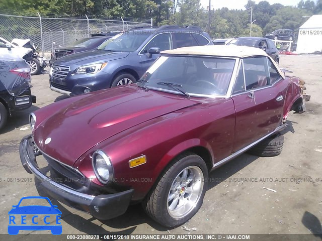 1981 FIAT 124 SPIDER ZFAAS00B0B8180821 image 1