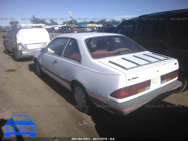 1987 FORD TEMPO SPORT 2FABP33S8HB202555 Bild 2