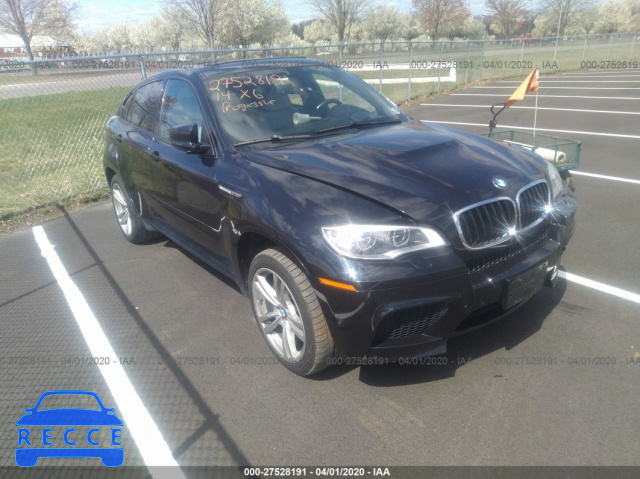 2014 BMW X6 M M 5YMGZ0C56E0C40215 зображення 0