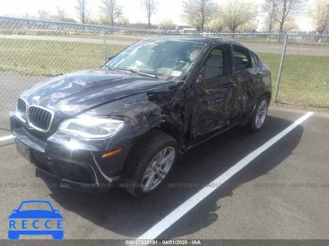 2014 BMW X6 M M 5YMGZ0C56E0C40215 зображення 1