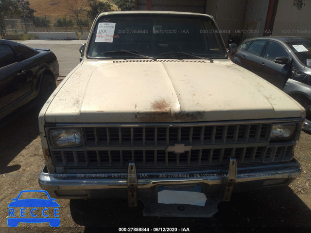 1981 CHEVROLET C20 1GCGC24M4BZ105329 Bild 5