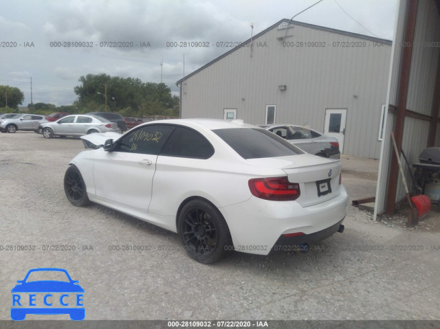 2015 BMW 2 SERIES WBA1J7C56FV289220 зображення 2