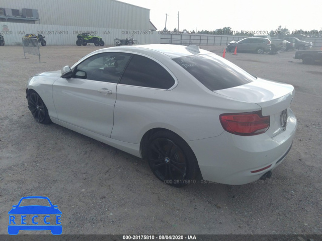 2019 BMW 2 SERIES 230I WBA2J1C54KVD09916 image 2