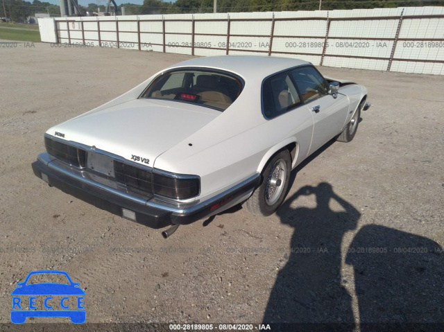 1992 JAGUAR XJS SAJNW5840NC181861 зображення 3