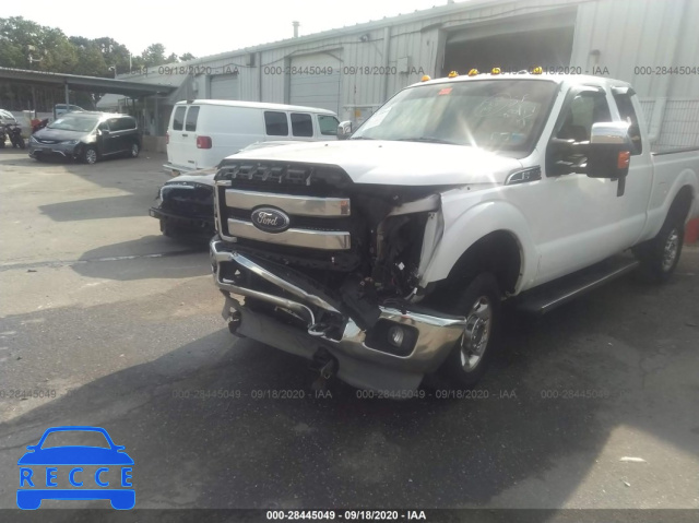 2011 FORD SUPER DUTY F-350 SRW XL/XLT/LARIAT 1FT8X3B64BEA26222 image 5