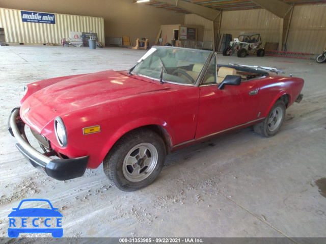 1981 FIAT SPIDER  ZFA124CS000177557 Bild 1